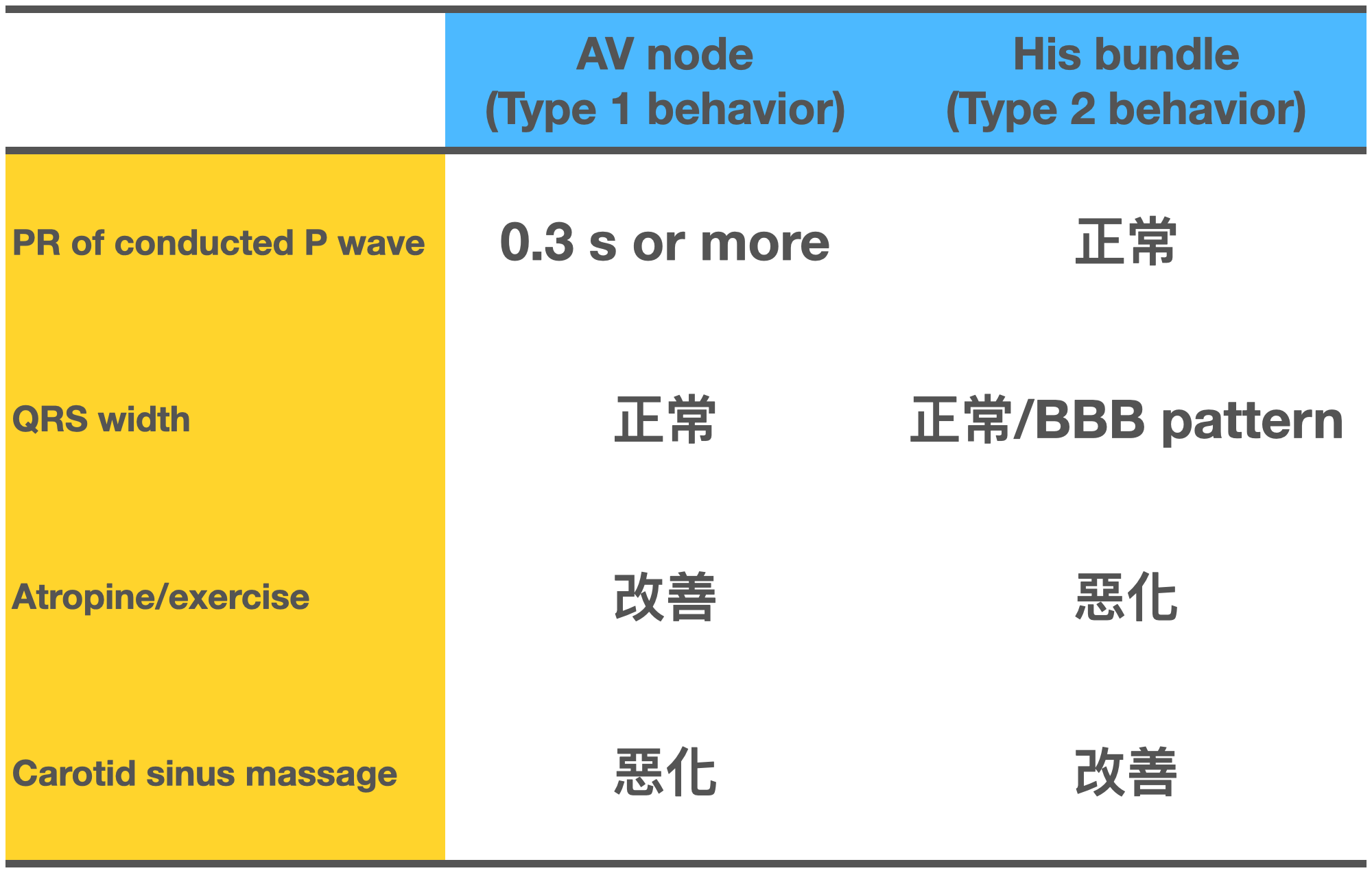 區別2:1 AVB