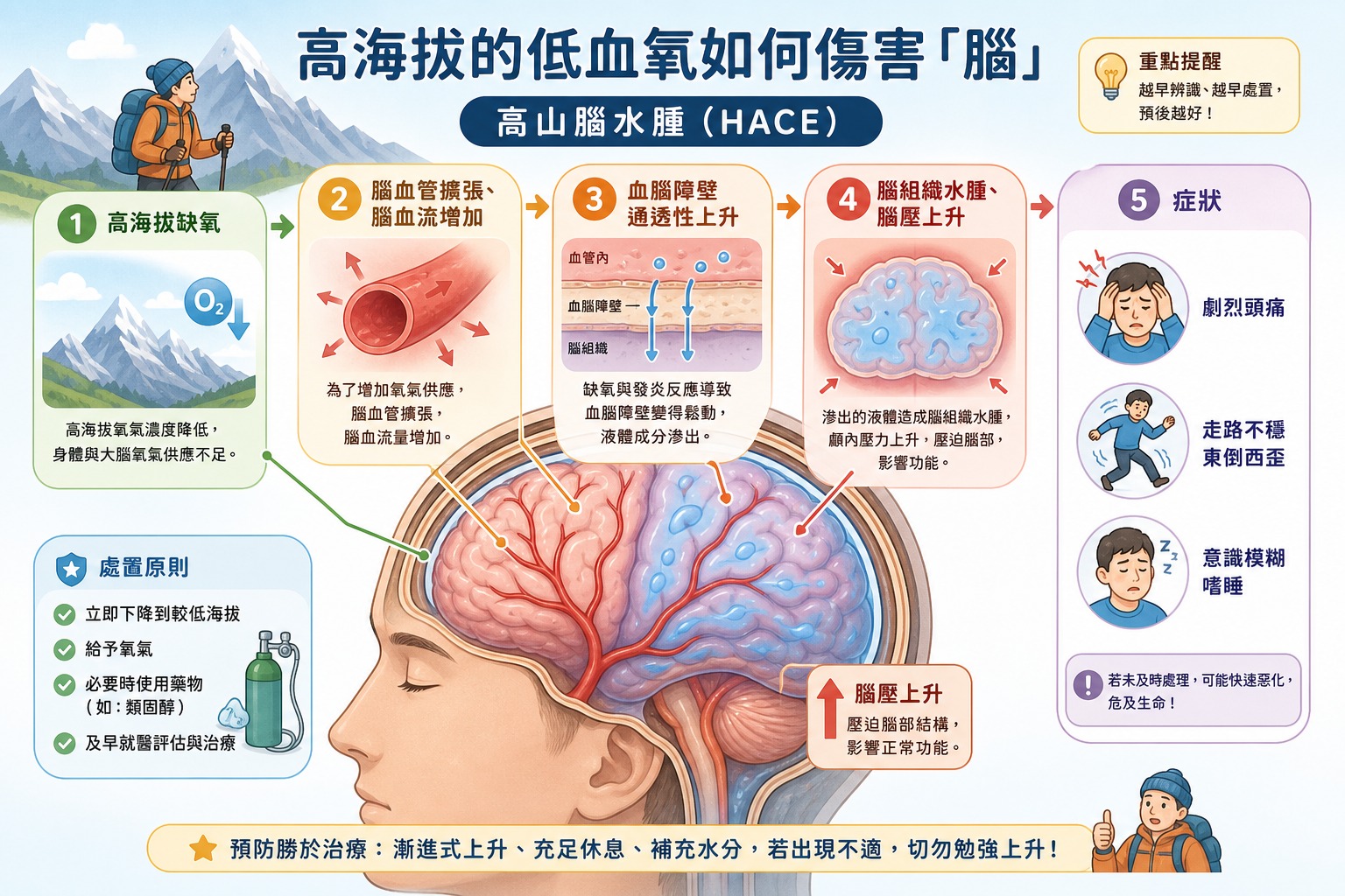 低血氧如何傷腦：高山腦水腫 HACE