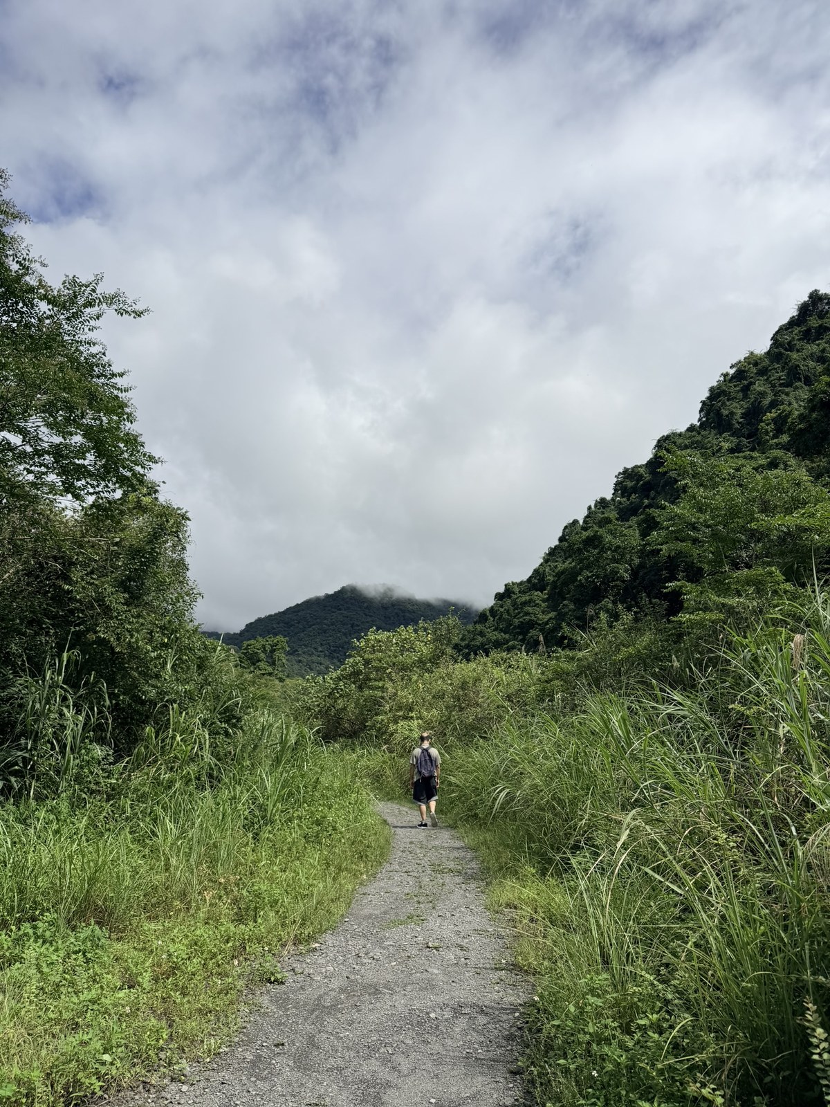 一開始的石頭路