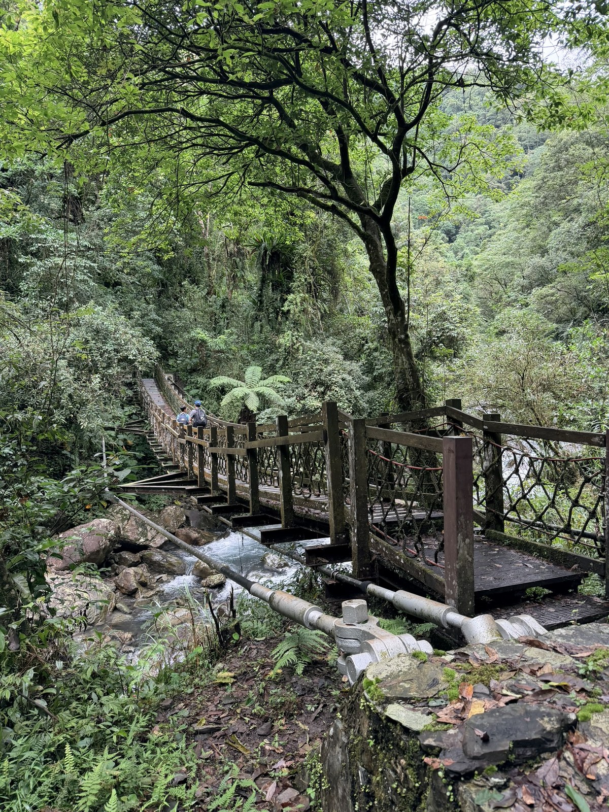 通往戈霸瀑布的吊橋